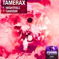 Artwork for Nightfall / Saviour by Tamerax