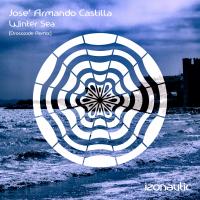 Artwork for Winter Sea (Drosoxide Remix) by Josè Armando Castilla