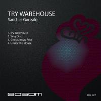 Artwork for Try Warehouse by Sanchez Gonzalo