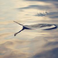 Artwork for Reflections by Various Artists