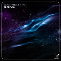 Artwork for Freedom by Silver Panda