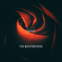 Artwork for The weeping rose by AN:TI