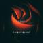 Artwork for The weeping rose (Original Mix)