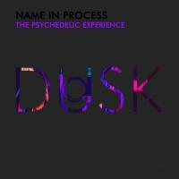 Artwork for The Psychedelic Experience by Name In Process