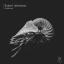 Artwork for Matter of Choice (Original Mix)