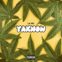 Artwork for YaKnow by Lil Ric