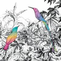 Artwork for Two Birds by A Vision of panorama