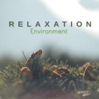 Artwork for Relaxation Environment by Nature Sounds For Sleep and Relaxation