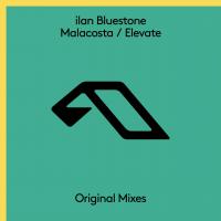 Artwork for Malacosta / Elevate by Ilan Bluestone