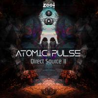 Artwork for Direct Source II by Atomic Pulse