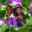 Artwork for Do You Like Me (feat. Kreed Da Playa)