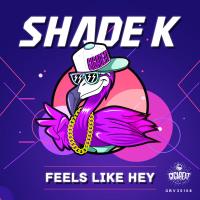 Artwork for Feels Like Hey by Shade K