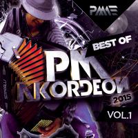 Artwork for Best Of PM Akordeon, Vol. 1 2015 by Various Artists