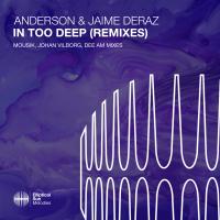 Artwork for In Too Deep by Anderson