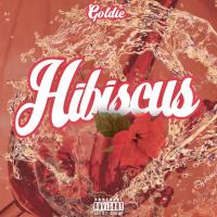 Artwork for Hibiscus by Goldie