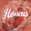 Artwork for Hibiscus