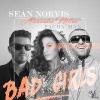 Artwork for Bad Girls by Sean Norvis