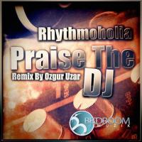 Artwork for Praise The DJ by Rhythmoholia