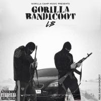 Artwork for Gorilla Bandicoot by LB