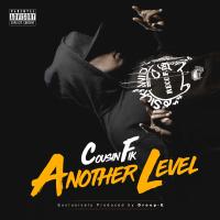 Artwork for Another Level by Cousin Fik