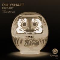 Polyshaft