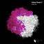 Artwork for Room Six (Original Mix)