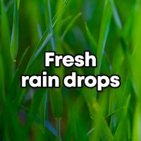 Artwork for Fresh Rain Drops by Relaxing Spa Music