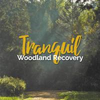 Artwork for Tranquil Woodland Recovery by Sounds of Nature Relaxation