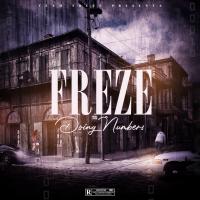 Artwork for Doing Numbers by Freze