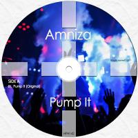 Artwork for Pump It by Amniza