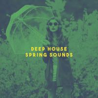 Artwork for Deep House Spring Sounds by Bar Lounge