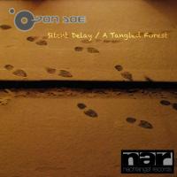 Artwork for Silent Delay / A Tangled Forest by DJ Jon Doe