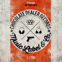 Artwork for After Life by Fowak