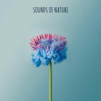 Artwork for Sounds Of Nature by Sounds Of Nature