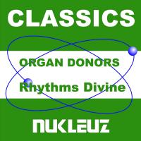 Artwork for Rhythms Divine by Organ Donors