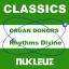 Artwork for Rhythms Divine (Trance Intoxication Mix)