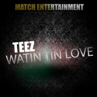 Artwork for Watin Tin Love by Teez