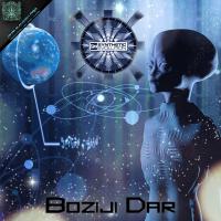 Artwork for Boziji Dar by Synthetic Evolution