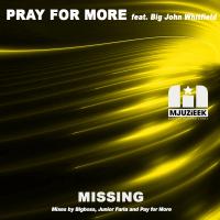 Artwork for Missing by Pray For More