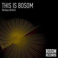 Artwork for This Is Bosom by Various Artists