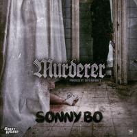 Artwork for Murderer by Sonny Bo