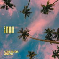 Artwork for Sunroof by T.S The Solution