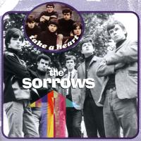 Artwork for Take a Heart by The Sorrows