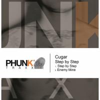 Artwork for Step by Step by CUGAR