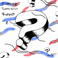 Artwork for Riddle by Dimmish