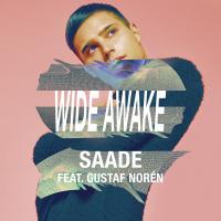 Artwork for Wide Awake (feat. Gustaf Norén) by Eric Saade