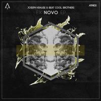 Artwork for Ex Novo by Joseph Krause