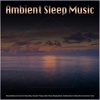 Artwork for Ambient Sleep Music: Binaural Beats and Ocean for Deep Sleep, Hypnosis Therapy, Alpha Waves Sleeping Music, Soothing Music for Sleep Aid and Isochronic Tunes by Binaural Beats Sleep