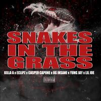 Artwork for Snake in the Grass (feat. Eclipz, OG Insane, Lil Joe & Yung Jay) by Casper Capone