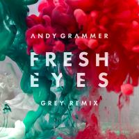 Artwork for Fresh Eyes (Grey Remix) by Andy Grammer